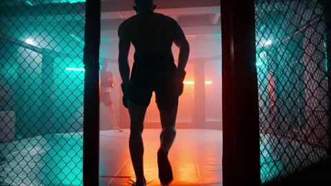 MMA fighters enter the cage ring. Mixed martial arts fight. Stock Footage 238549483