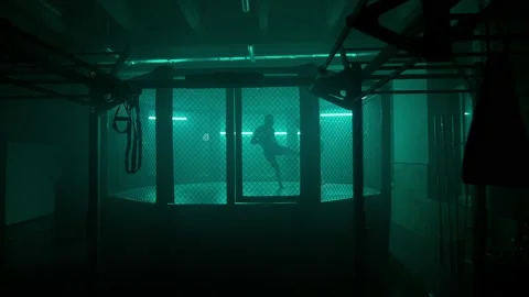MMA fighters enter the cage ring. Mixed martial arts fight. Stock Footage 238549584