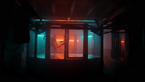 MMA fighters enter the cage ring. Mixed martial arts fight. Stock Footage 238549593