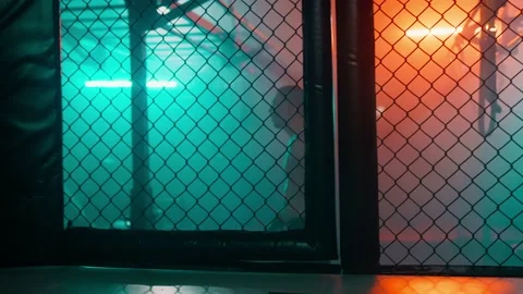 MMA fighters enter the cage ring. Mixed martial arts fight. Stock-Footage 238549711
