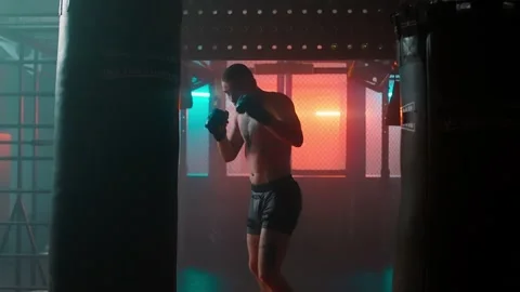 MMA fighters enter the cage ring. Mixed martial arts fight. Stock Footage 238549789