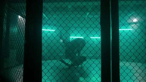 MMA fighters enter the cage ring. Mixed martial arts fight. Vídeos de archivo 238550108