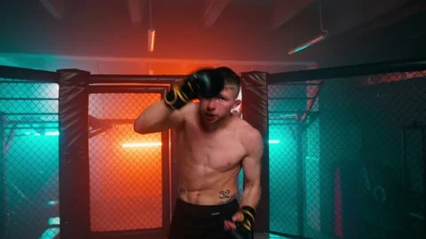 MMA fighters enter the cage ring. Mixed martial arts fight. Stock Footage 238550834