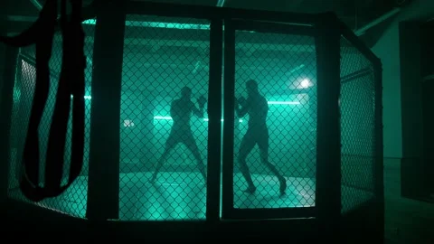 MMA fighters enter the cage ring. Mixed martial arts fight. 動画素材 238550953