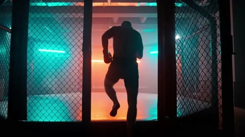 MMA fighters enter the cage ring. Mixed martial arts fight. Stock Footage 238551177