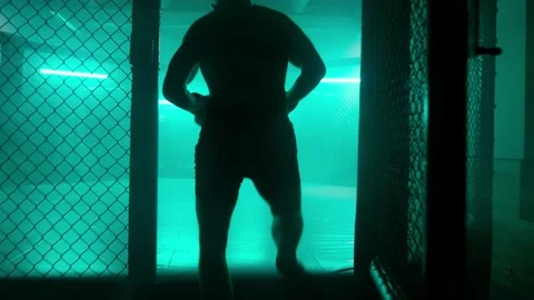 MMA fighters enter the cage ring. Mixed martial arts fight. Stock-Footage 238551259