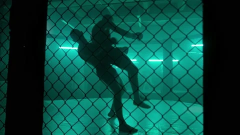 MMA fighters enter the cage ring. Mixed martial arts fight. Stock Footage 238551461