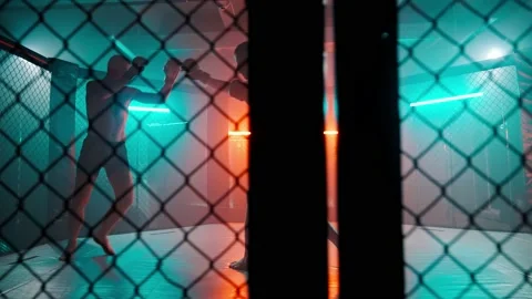 MMA fighters enter the cage ring. Mixed martial arts fight. Stock Footage 238551471