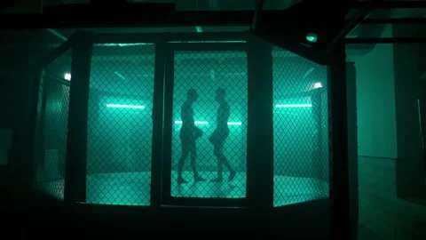 MMA fighters enter the cage ring. Mixed martial arts fight. Stock Footage 238552130