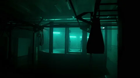 MMA fighters enter the cage ring. Mixed martial arts fight. Stock Footage 238552243