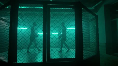 MMA fighters enter the cage ring. Mixed martial arts fight. Stock-Footage 238552296