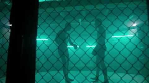 MMA fighters enter the cage ring. Mixed martial arts fight. 動画素材 238552397