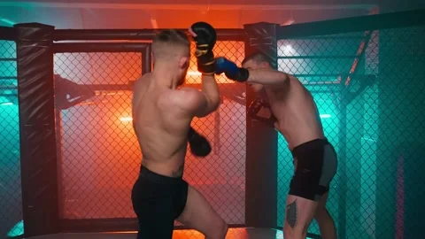 MMA fighters enter the cage ring. Mixed martial arts fight. Stock Footage 238552459