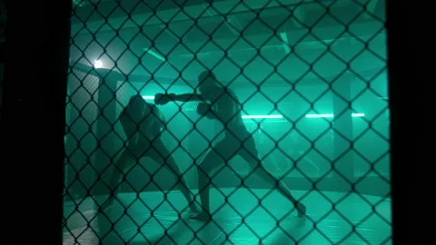 MMA fighters enter the cage ring. Mixed martial arts fight. Stock Footage 238552504