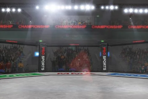 Mma fighting stage side view under lights Stock Photos