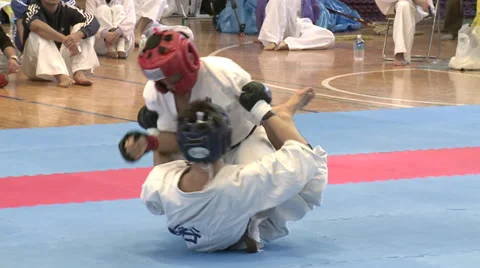 MMA tournament Stock Footage 31383500