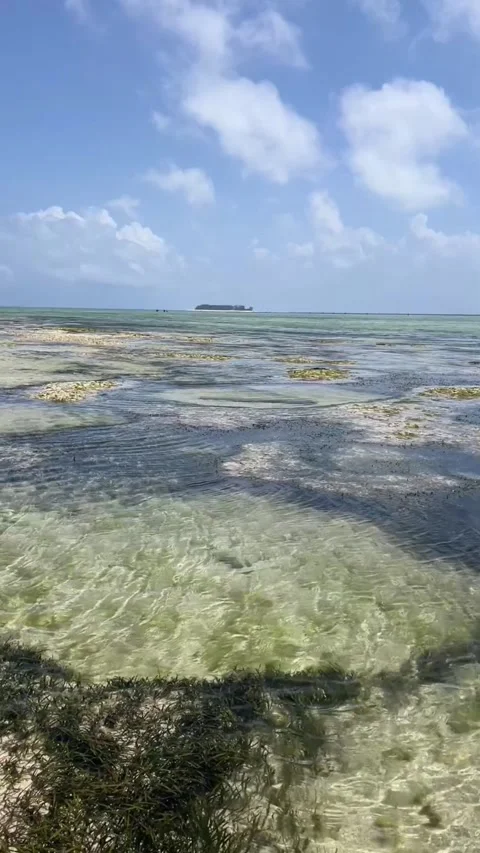 Mnemba Island view ocean low tide clear water Matemwe Zanzibar HD vertical 스톡 동영상 342148218