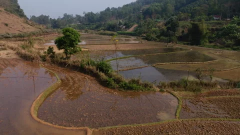 Mường Cang Patchwork Farmland Fields Across Wide Valley Floor, Than Uyên Lai Video stock 334218159