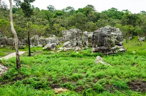 Mo Hin khao, Fotos Stock