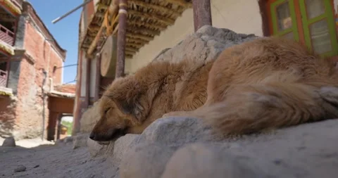 MO038 Video stock 327213688