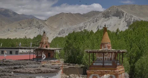 MO040 Video stock 327213706