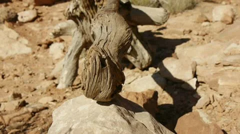 Moab balancing rock 库存影片 8853457
