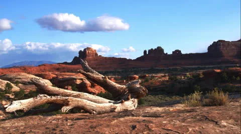 Moab dolly two Video stock 26101492