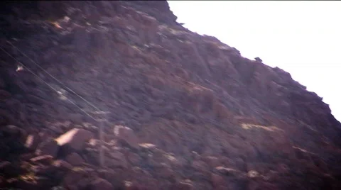 Moab Utah flying bug HD-43 Stock Footage 768268