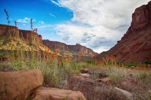 Moab Valley Sunset Stock Photos
