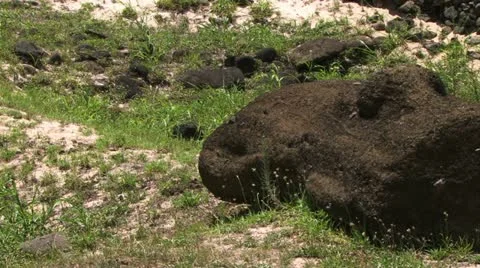 Moai Head on ground in Easter Isalnd 스톡 동영상 11358715