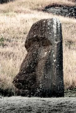 Moai Statues on Easter Island at the Rano Raraku Quarry Foto stock
