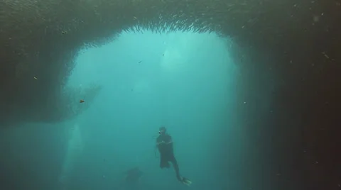 Moalboal, Philippines huge school of sardines surround diver Stock Footage