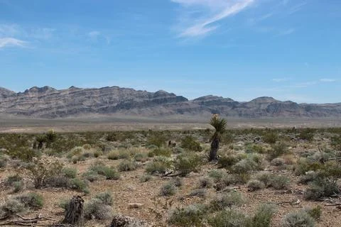 Moapa-Hiko Stock Photos