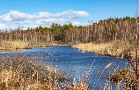 The moat after peat extraction turned into a swamp lake Stock Photos