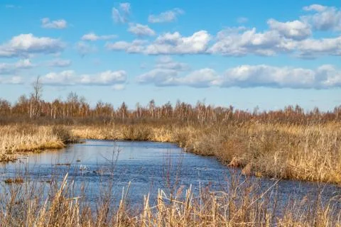 The moat after peat extraction turned into a swamp lake Stock Photos