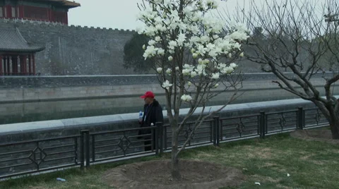 Moat around the Forbidden City Stock Footage 44803433