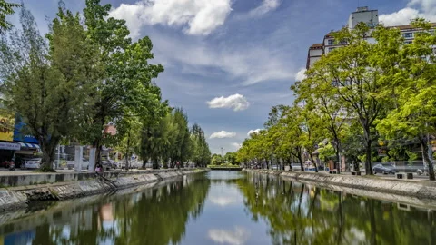 The moat inside the old town near Tha Phae Gate in Chiang Mai, Thailand Stock Footage 201446188