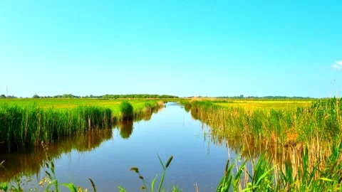 Moat in the North German Plain Stock Footage 244307809