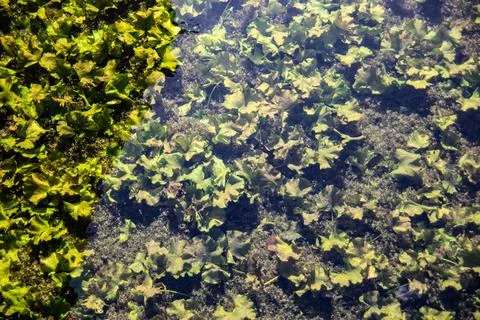 Moat with water Foto stock