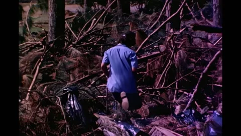 MOBILE - 1979 - Trees, bridges and beaches of Alabama are destroyed by Hurricane Stock Footage 313139370