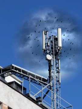 Mobile antenna Stock Photos