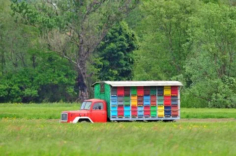 Mobile apiary Stock Photos