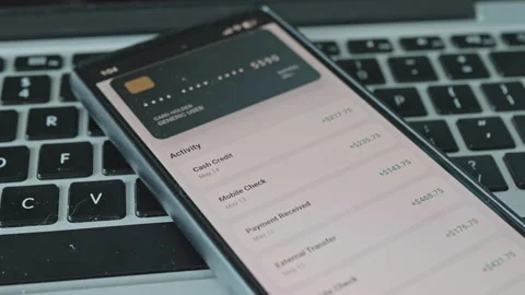 Mobile App Interface for Tracking Personal Finances and Recent Bank Transactions Stock Footage 335520122