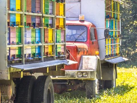 Mobile beehive on trucks Stock Photos