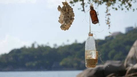 Mobile Blue shell Stock Footage 100874093