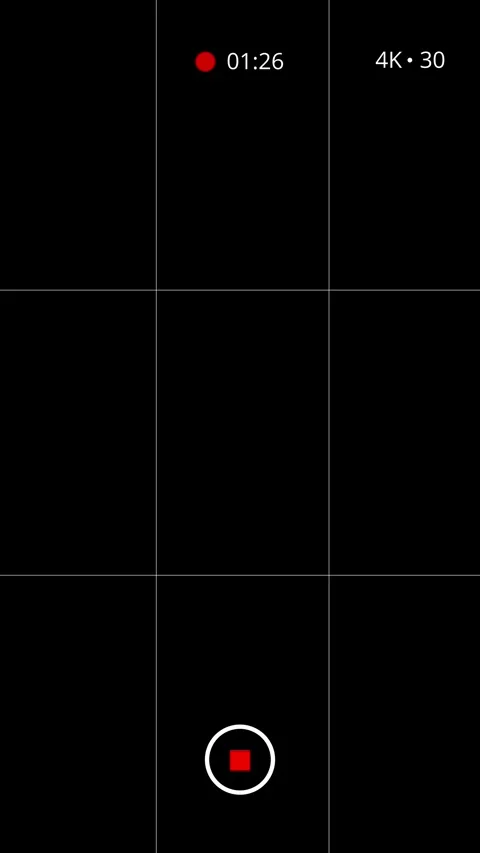Mobile Camera Viewfinder Recording Screen Gridlines Vertical Video Stock Footage 331375010