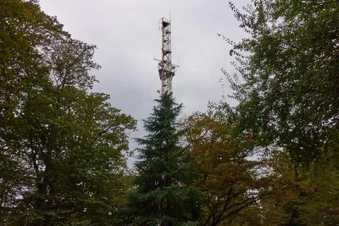 Mobile cell tower in the forest. Stock Photos