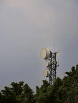 Mobile Communication Tower Rising Above Tropical Trees Stock Photos