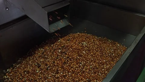 Mobile dosing and feeding tray of a corn mill Stock Footage 279066912