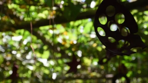 Mobile made with coconut shell hanging in the garden Stock Footage 137002248